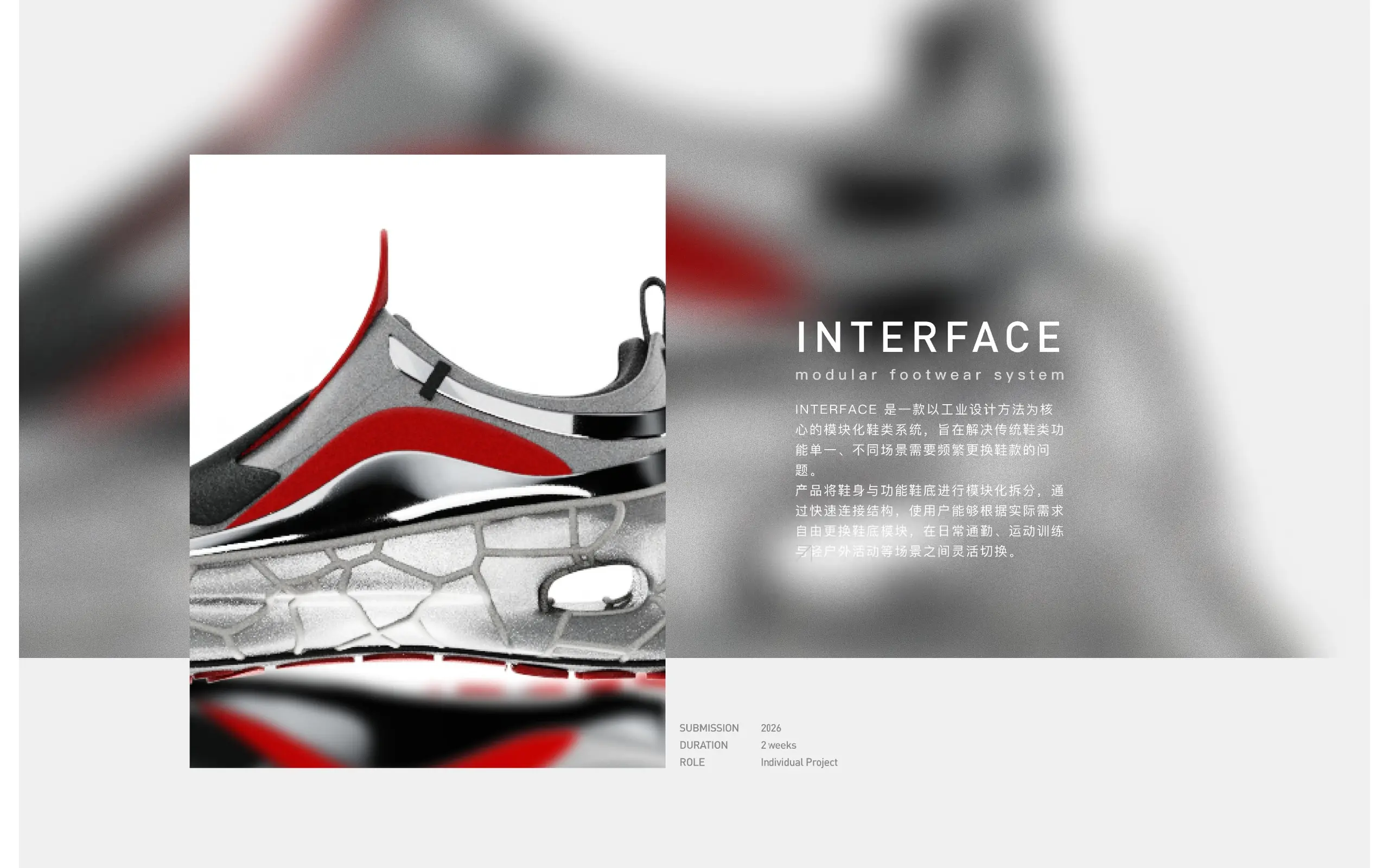 INTERFACE project